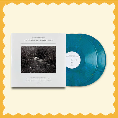 Pruning Of The Lower Limbs